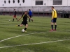 FCRTL2015_031 FCRTL2015_031